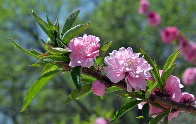 华夏公园简介_华夏公园简介概况